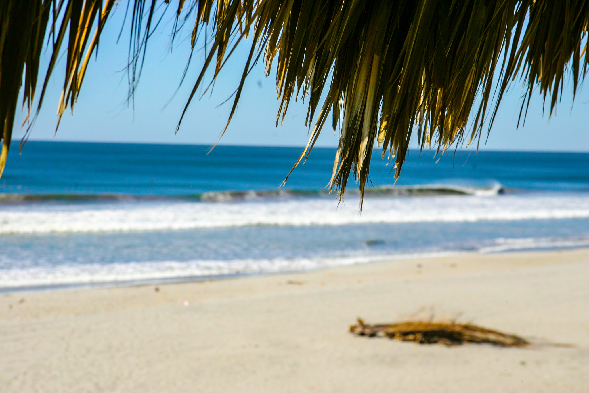 Canon EOS-1D Mark II sample photo. Beach view photography