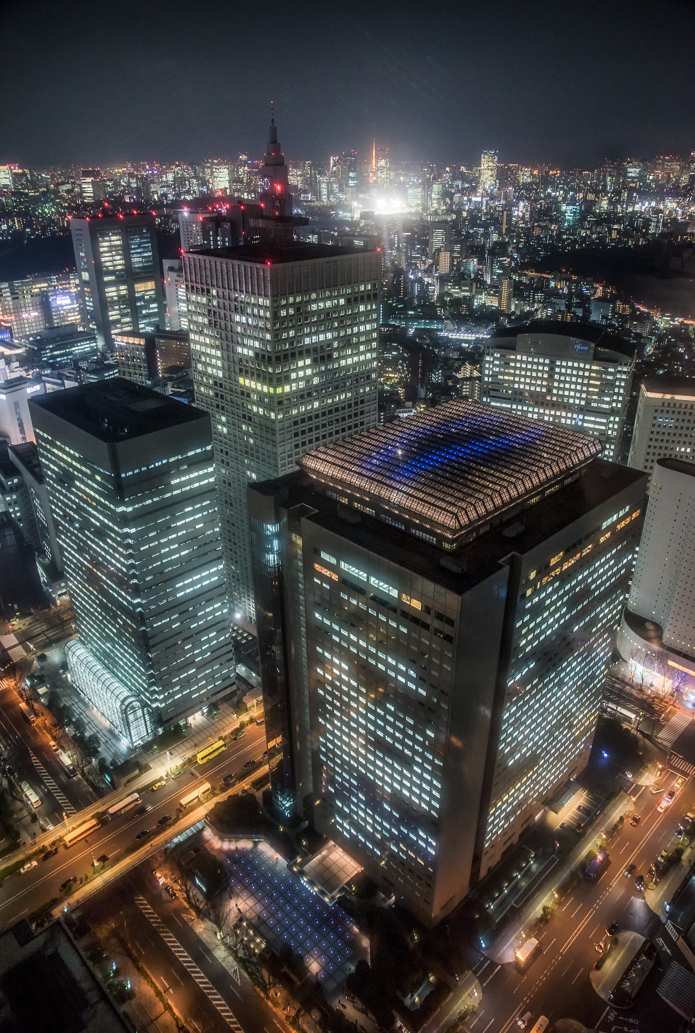 Sony a7 II + Tamron SP 24-70mm F2.8 Di VC USD sample photo. Tokyo metropolitan government building nighshot ctiview photography