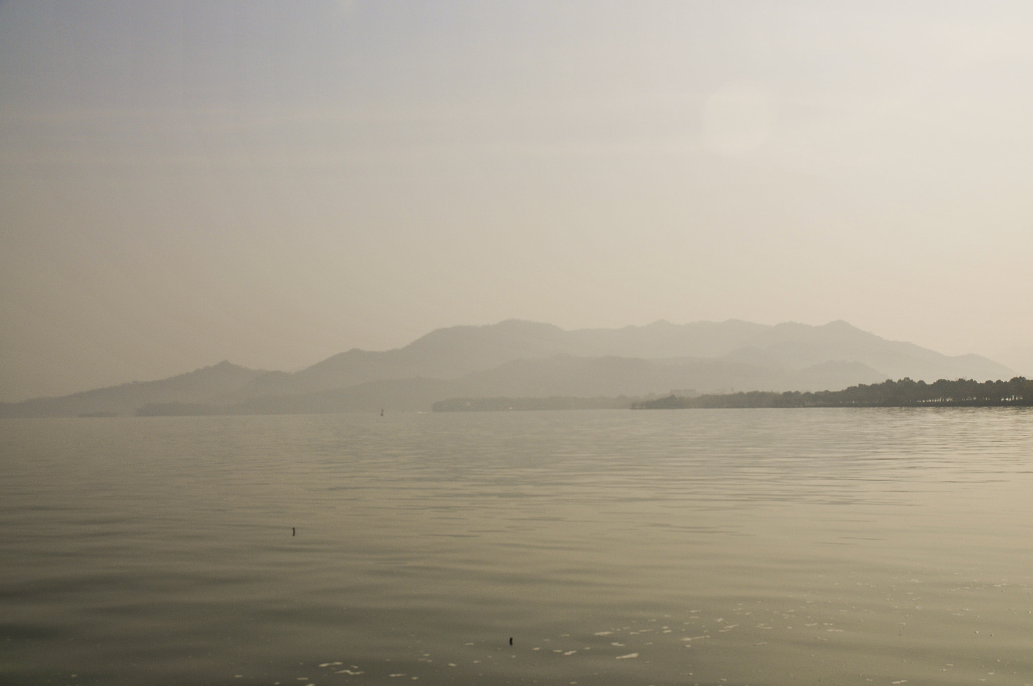 Nikon D300S sample photo