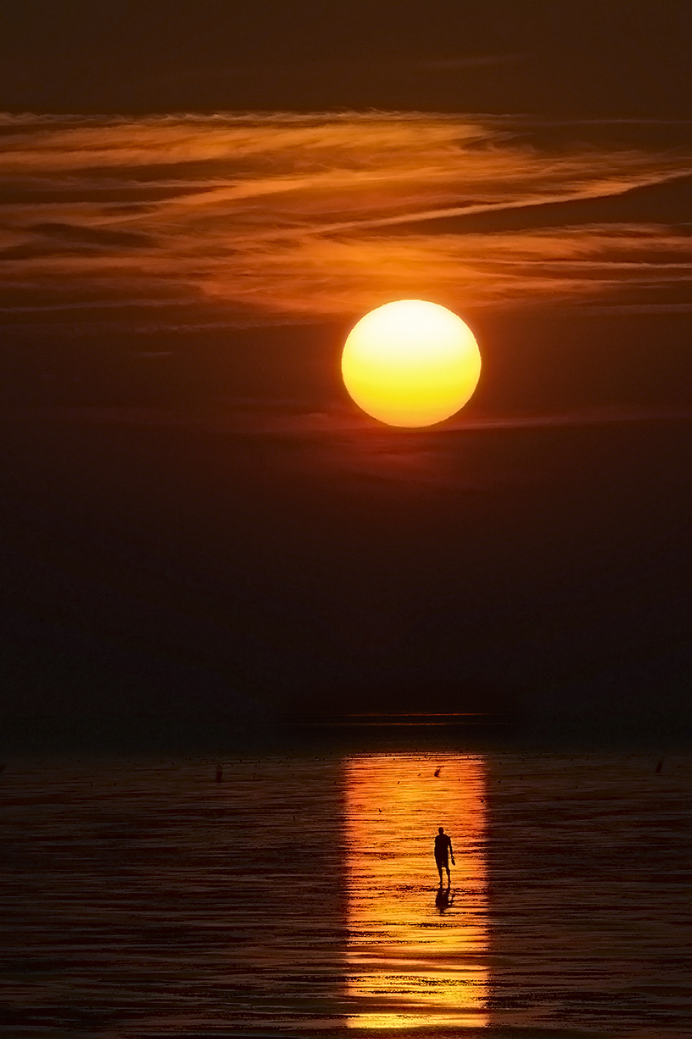 Sony 75-300mm F4.5-5.6 sample photo. Wattwanderer photography