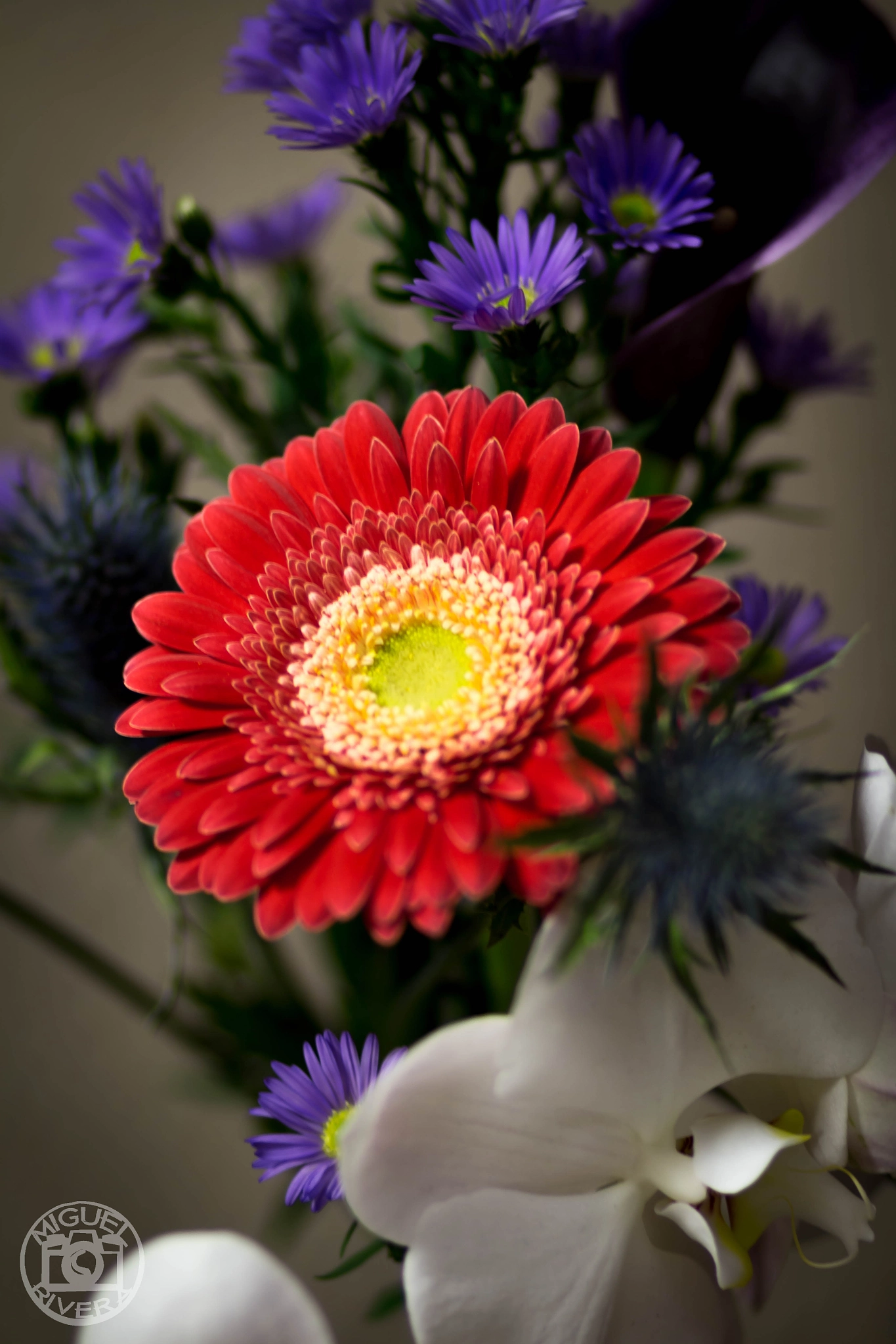 Canon EOS 100D (EOS Rebel SL1 / EOS Kiss X7) sample photo. Mix flowers photography