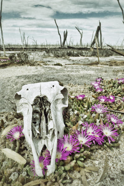 Taarblin Lake by Paul Amyes on 500px.com