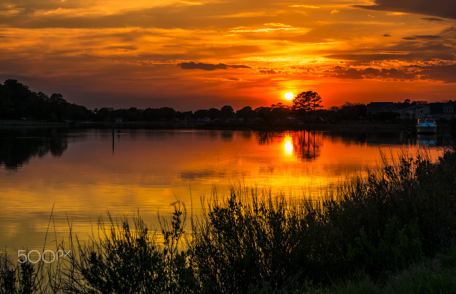 Sigma 18-50mm F2.8-4.5 DC OS HSM sample photo. Golden end photography