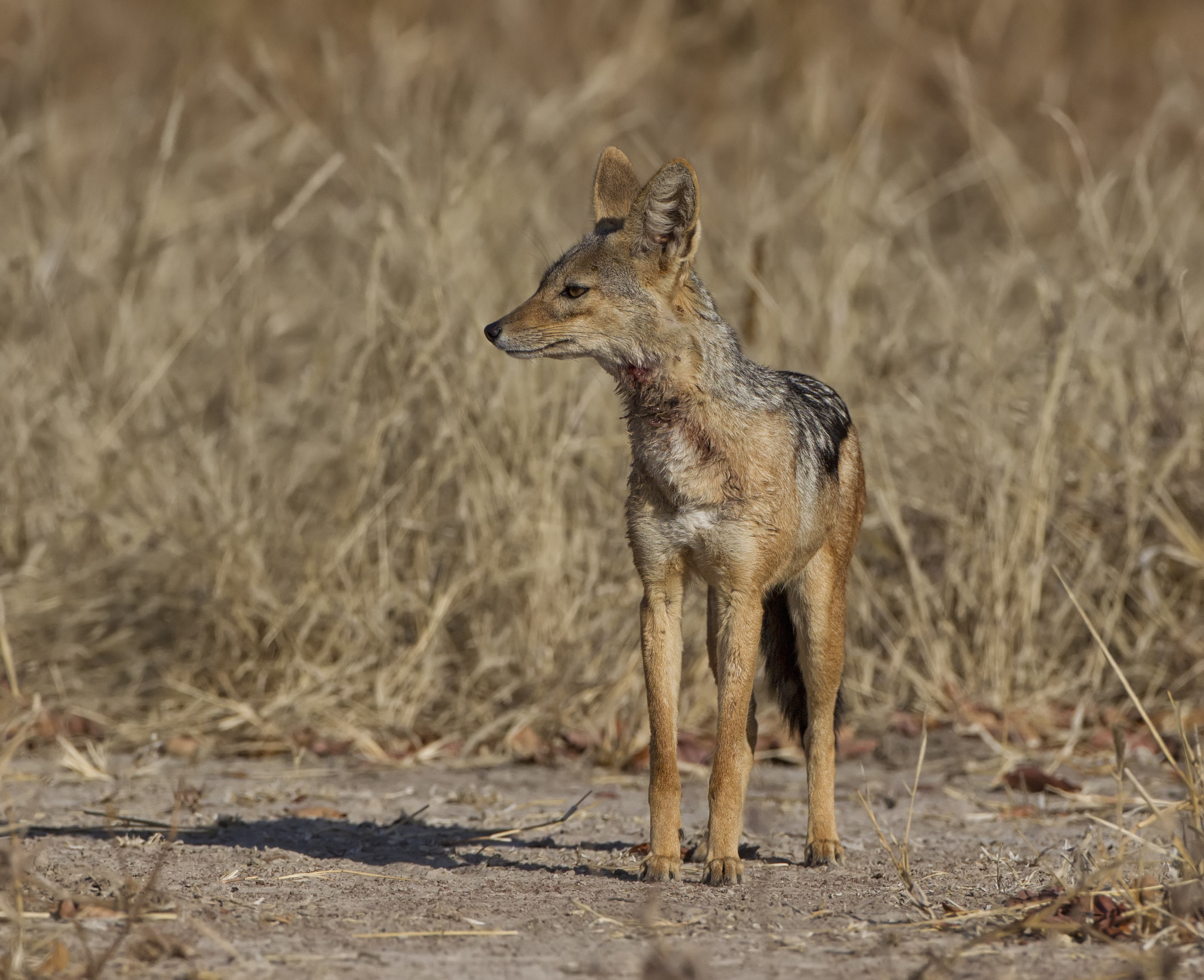 v2?sig=f09d96441217c45c1d3f732aa5bc7150f285954405e69221368efb807a5c7ba4