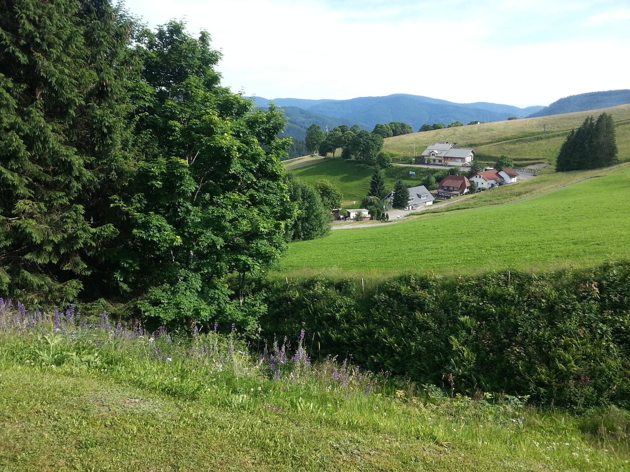 Samsung GT-I8750 sample photo. Life in a village photography