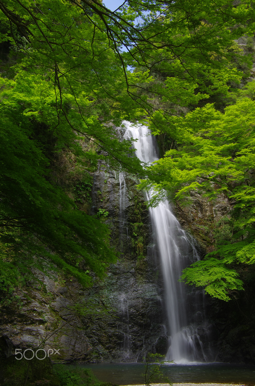 Pentax smc DA 16-45mm F4 ED AL sample photo. Fresh green waterfall photography