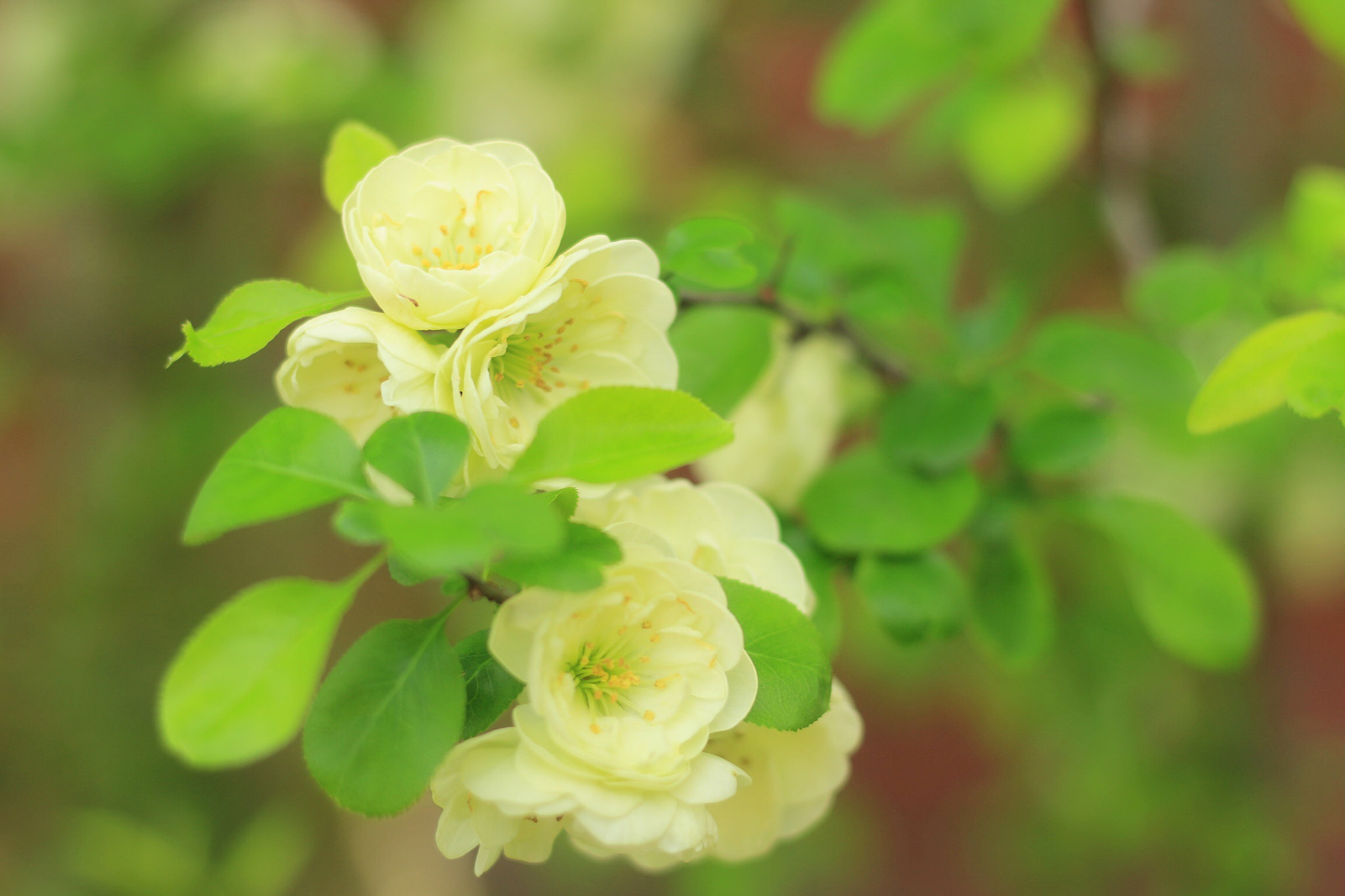 Canon EOS M + Canon EF 50mm F1.8 STM sample photo