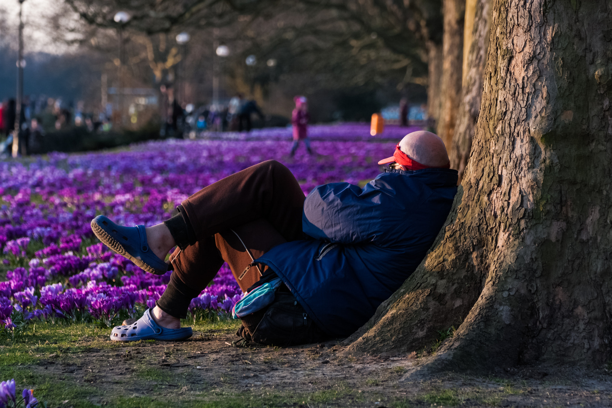 Canon EOS 40D sample photo. The first spring sun photography