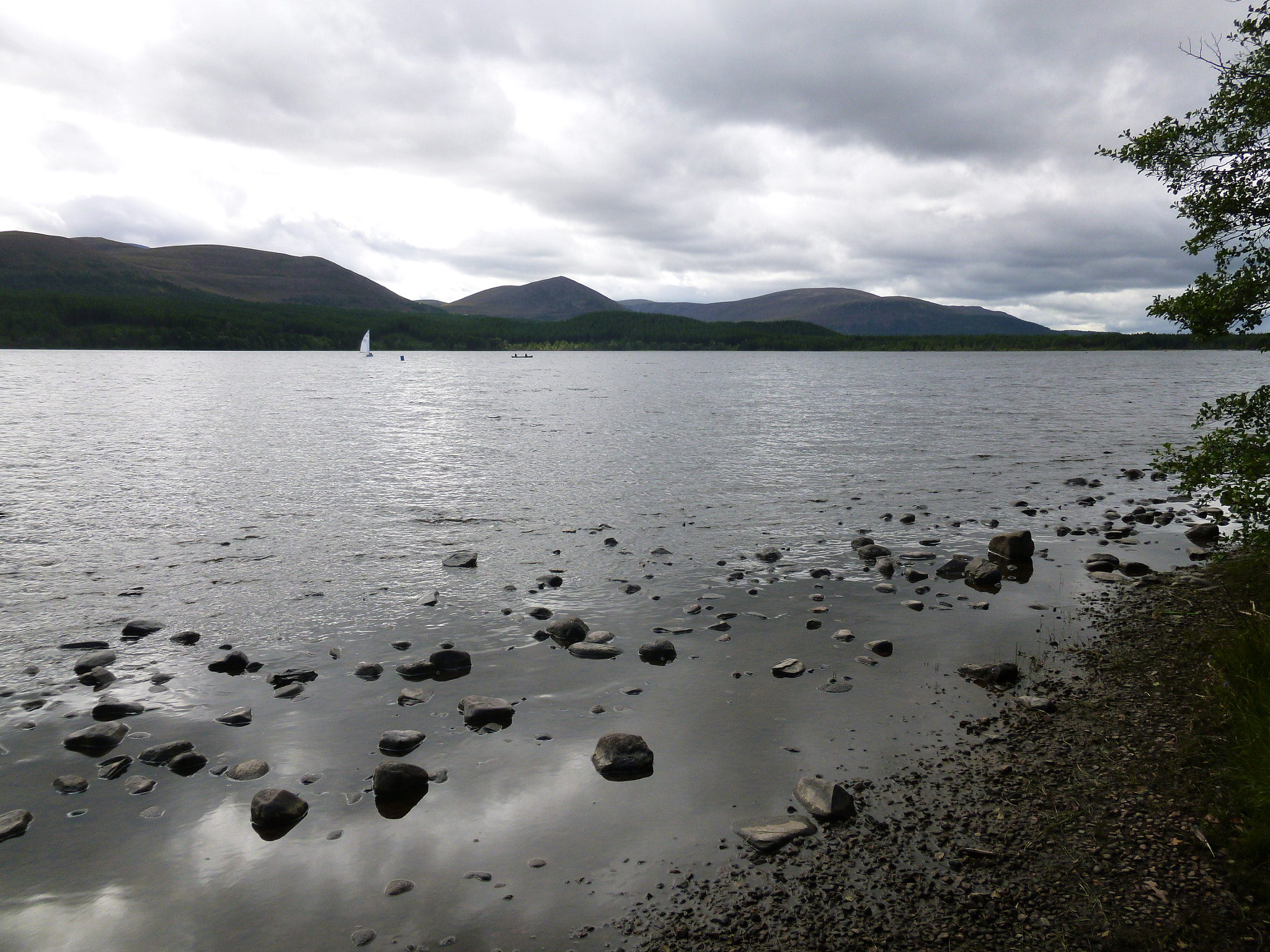 Panasonic DMC-SZ1 sample photo. Loch morlich in august photography