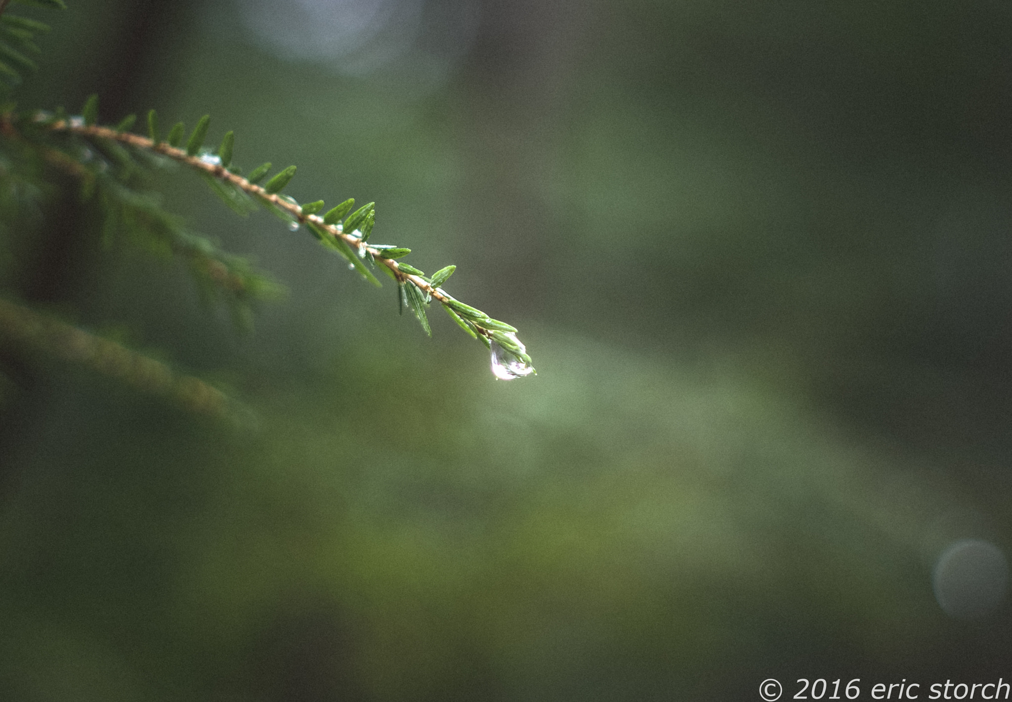 Pentax K10D + A Series Lens sample photo. Luminant drop photography