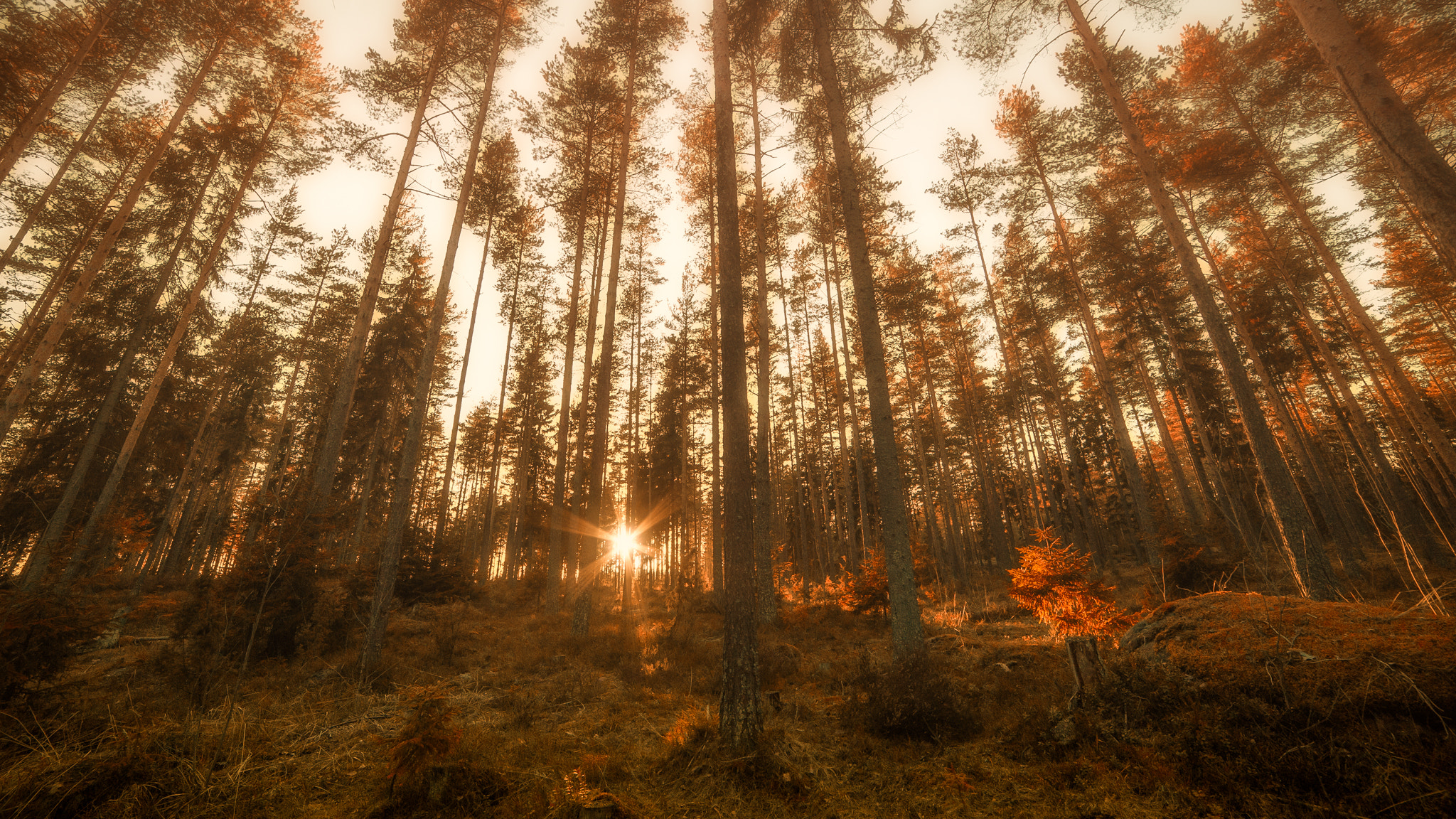 Nikon D3 sample photo. Sunset glow photography