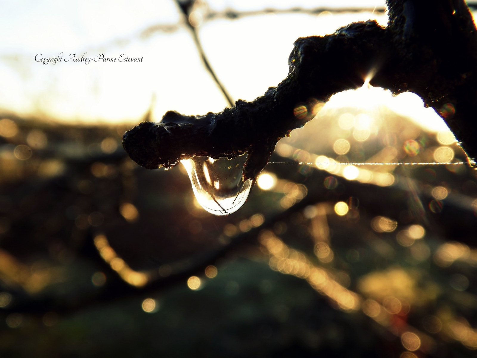 FujiFilm FinePix S3200 (FinePix S3250) sample photo. Sparkle photography