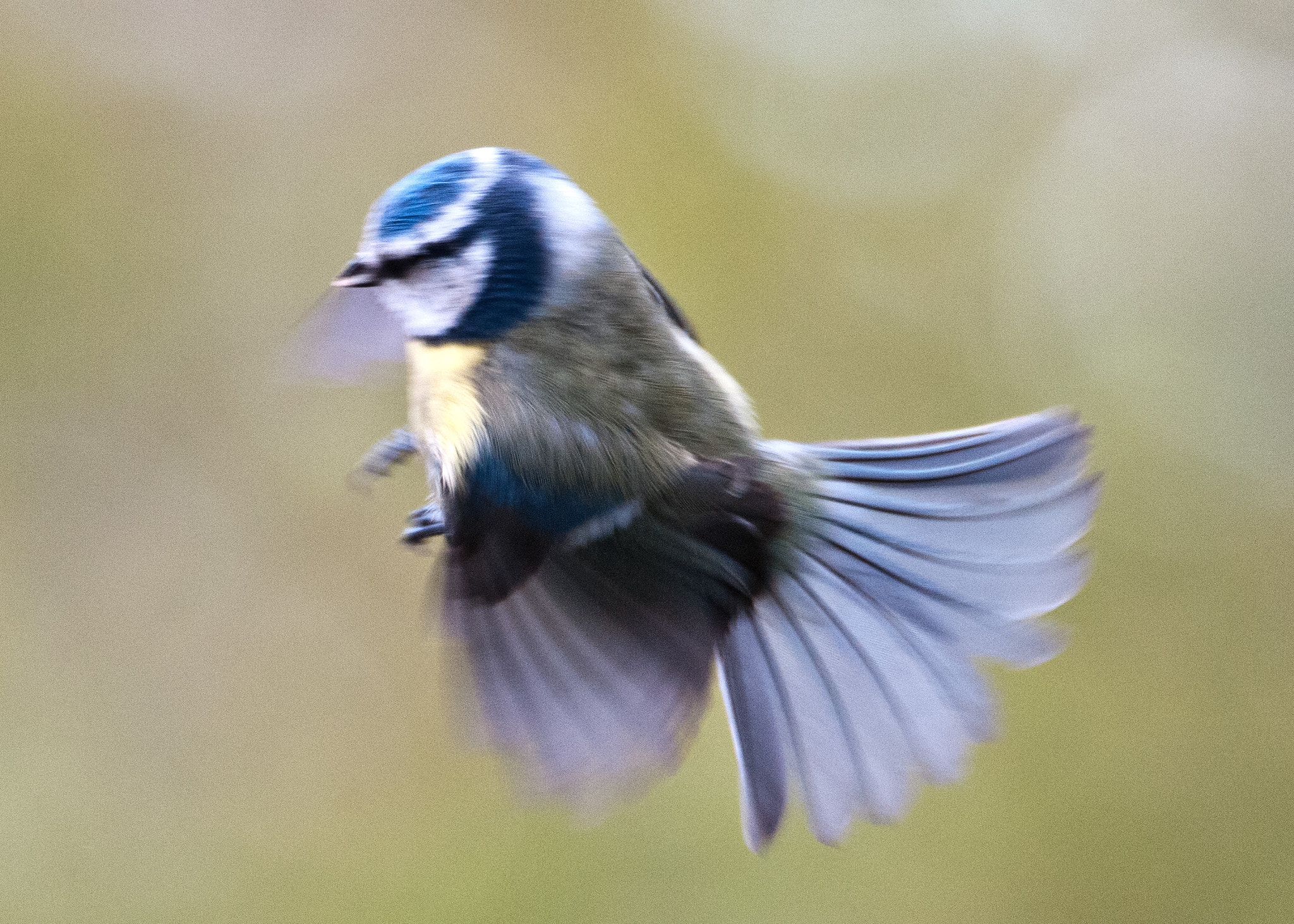 Nikon D300S sample photo. Flight photography