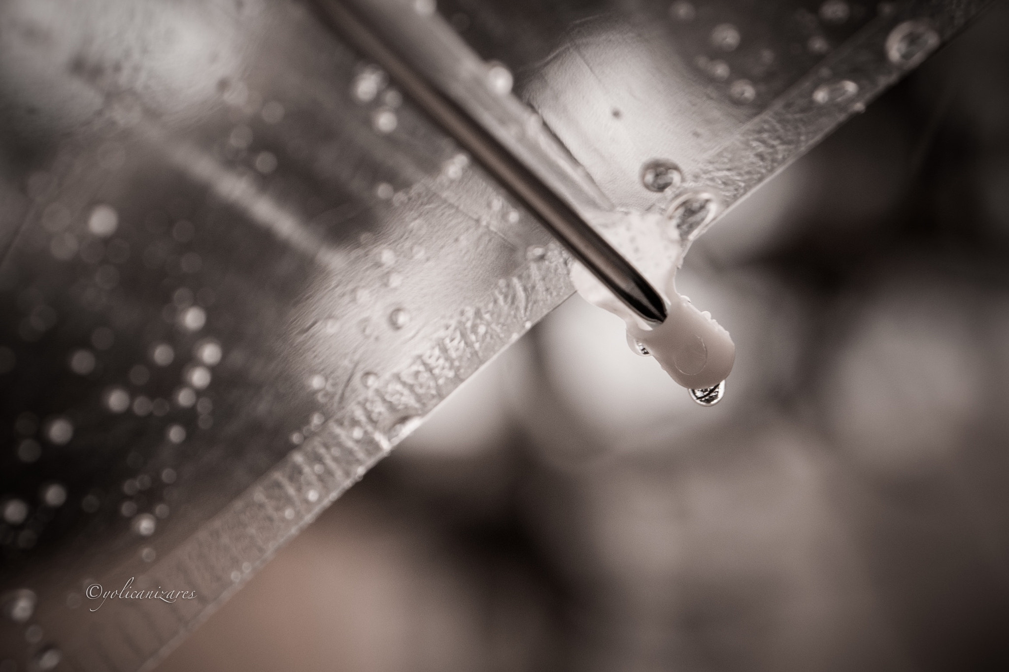 Panasonic Lumix G 42.5mm F1.7 ASPH Power OIS sample photo. Gotas de lluvia. panasonic gh4 con objetivo 85mm photography