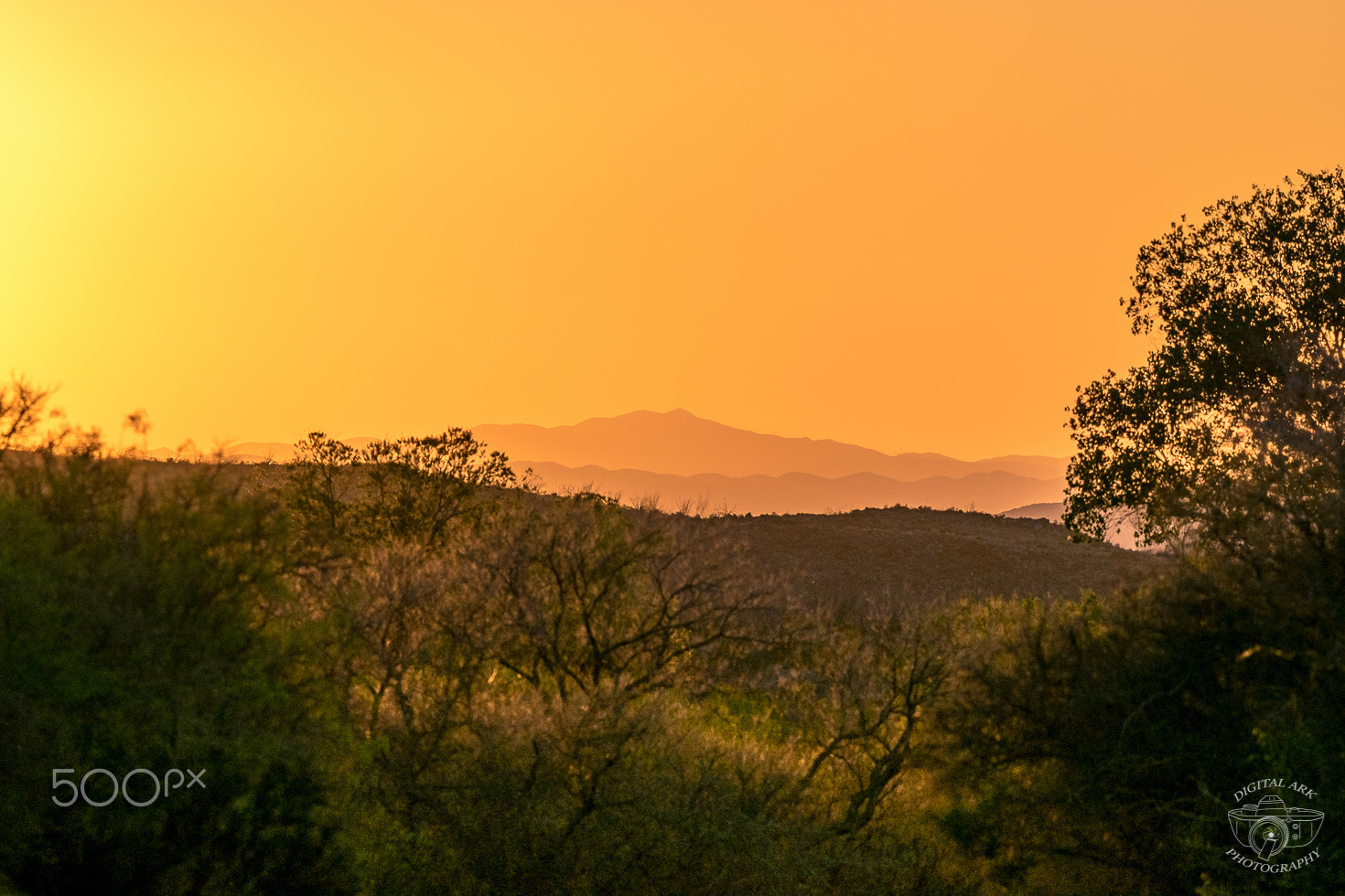 Nikon Nikkor AF-S 300mm F4E PF ED VR sample photo. Desert sun photography