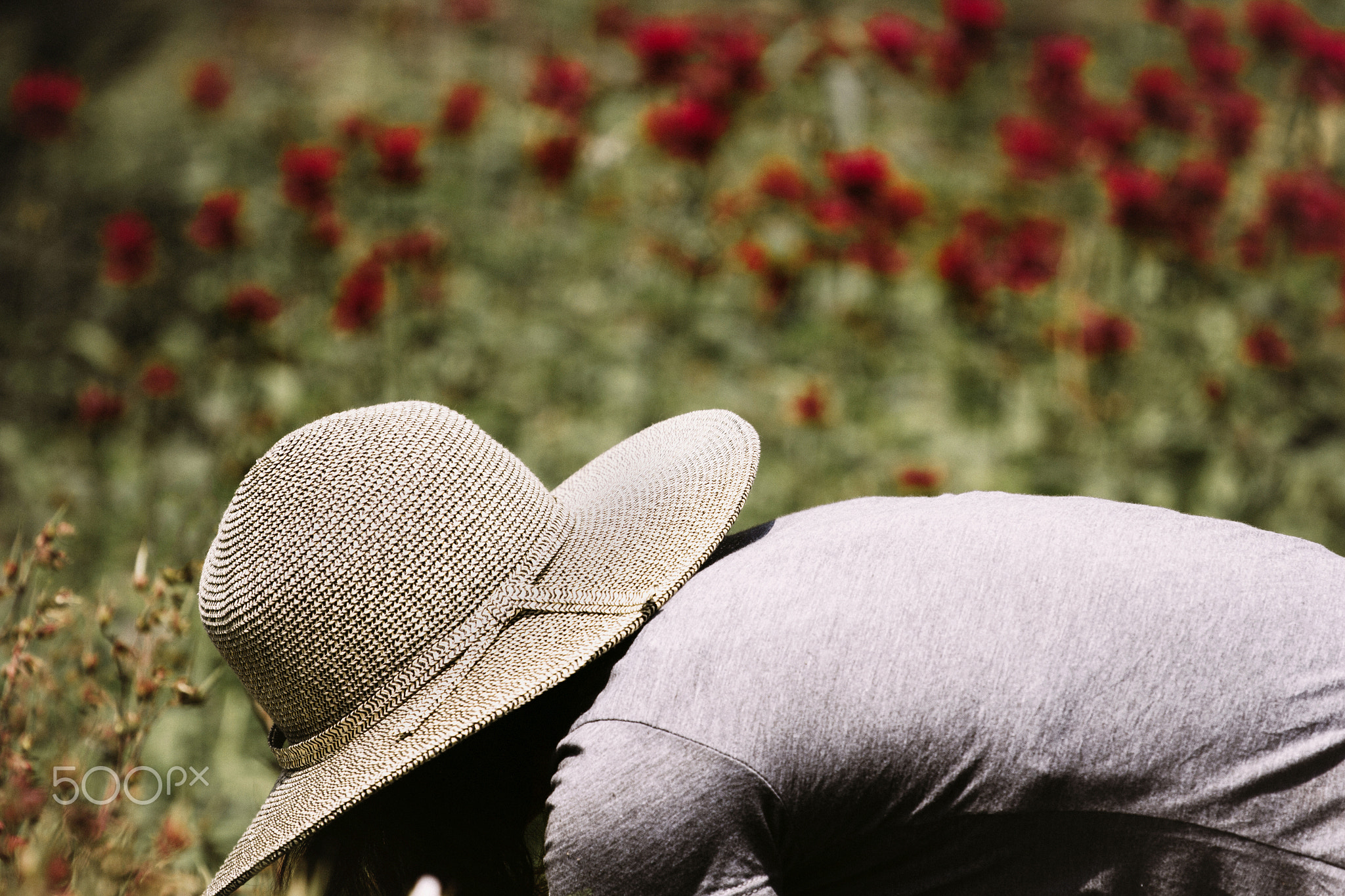 Organic farming