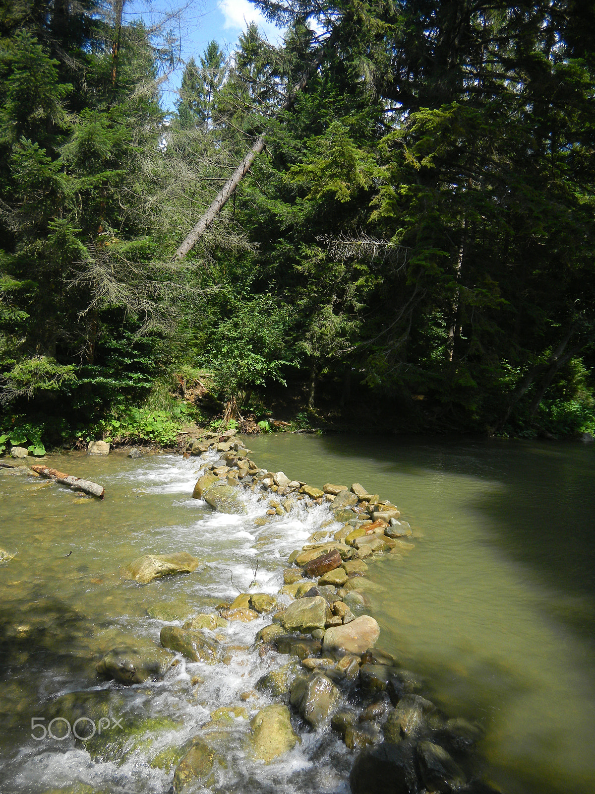 Nikon Coolpix S1100pj sample photo. The small river in carpathian mountains photography