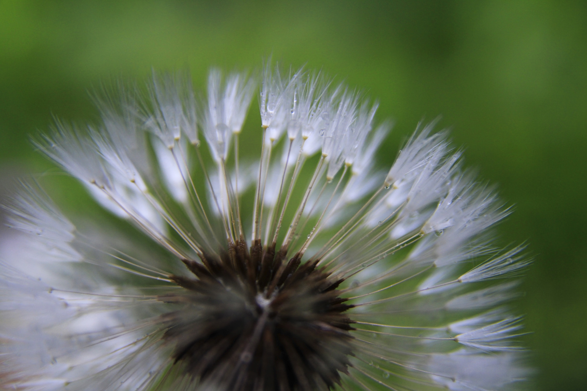 Sigma 17-70mm F2.8-4 DC Macro OS HSM sample photo. Tension photography