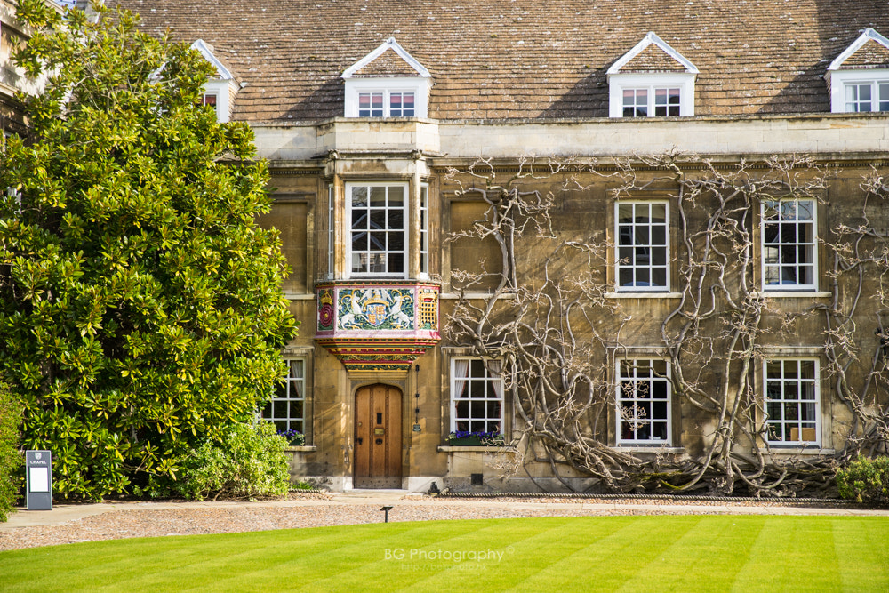 Sony a7 II + Canon EF 85mm F1.2L II USM sample photo. Cambridge. photography