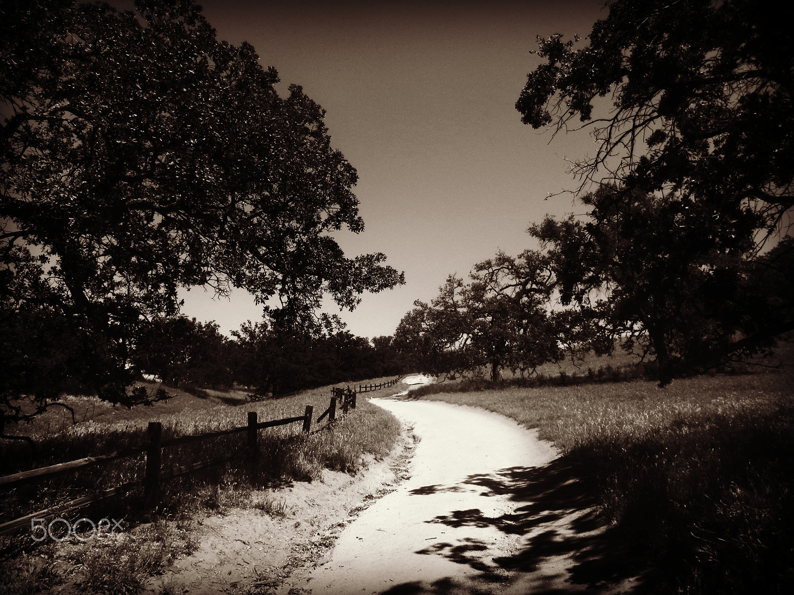 Olympus SZ-12 sample photo. Deserted country walk photography