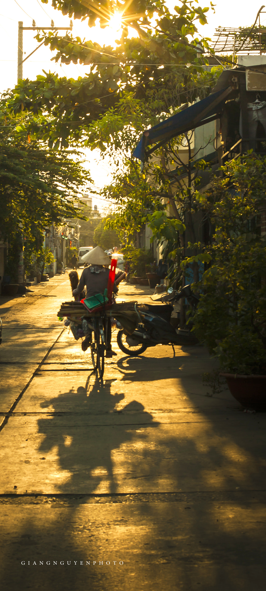 Canon EF 50mm F1.4 USM sample photo. ChiỀu hÈ photography