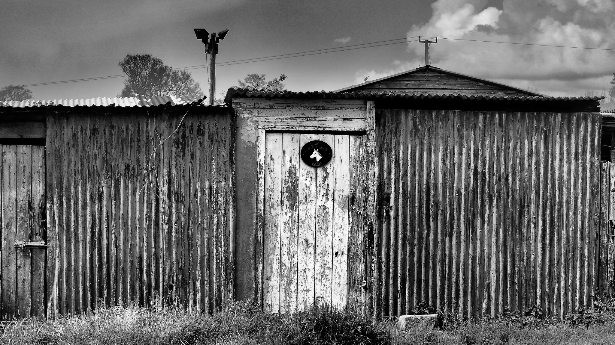 Olympus OM-D E-M5 sample photo. Shed with demon! photography