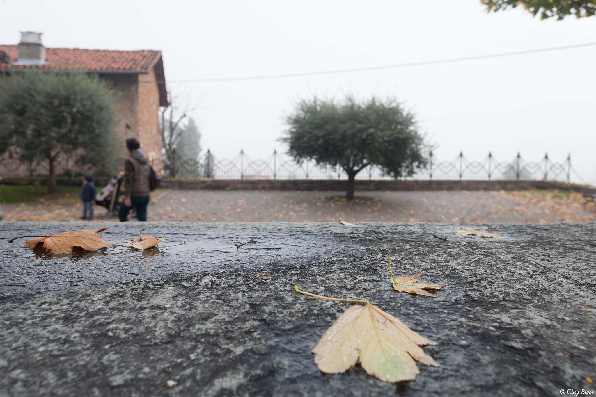 Canon EOS 5D + Canon EF 24mm F2.8 sample photo. Autunno malinconico photography