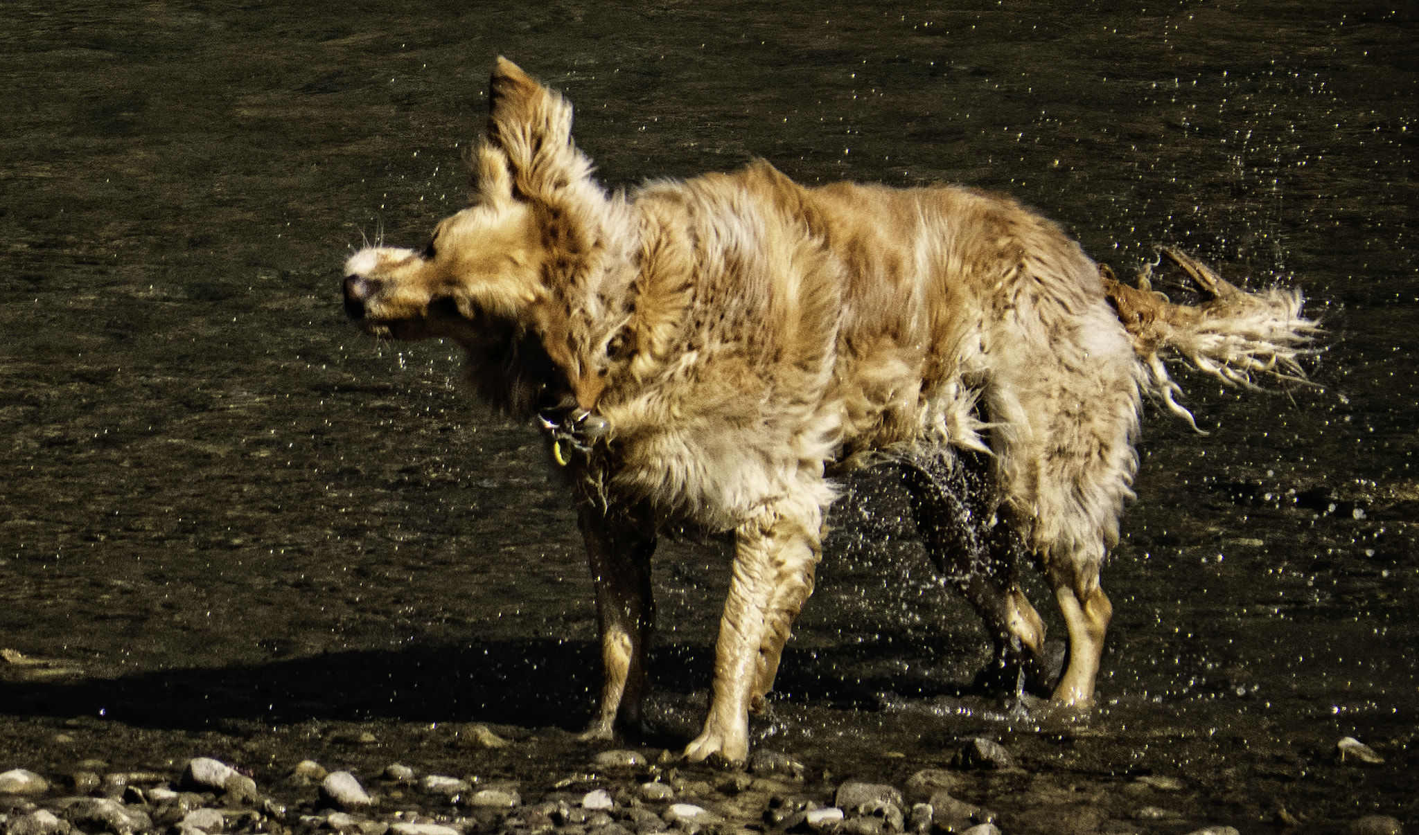 Panasonic Lumix G Vario 45-200mm F4-5.6 OIS sample photo. Shaking the water photography