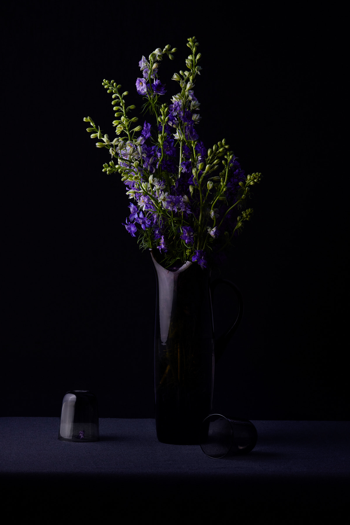 Canon EOS 5DS + Canon EF 100mm F2.8 Macro USM sample photo. Lavender larkspur photography