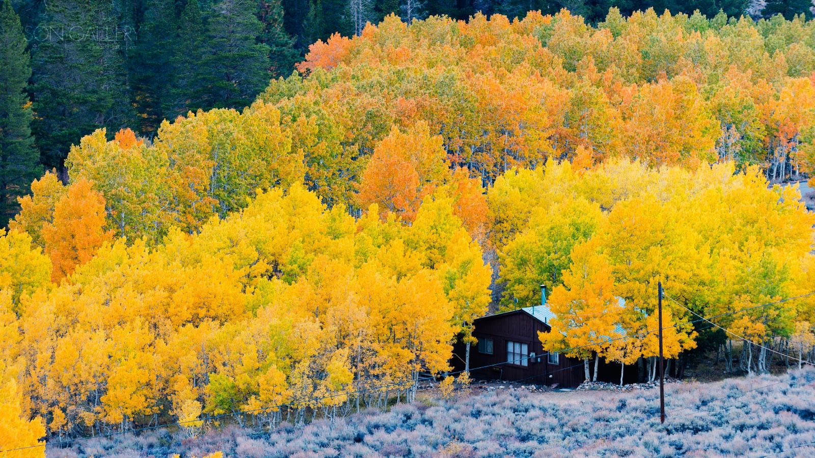 Nikon D810A + Nikon AF-S Nikkor 70-200mm F2.8G ED VR sample photo. Autumn trip to us eastern sierra (with journal) photography