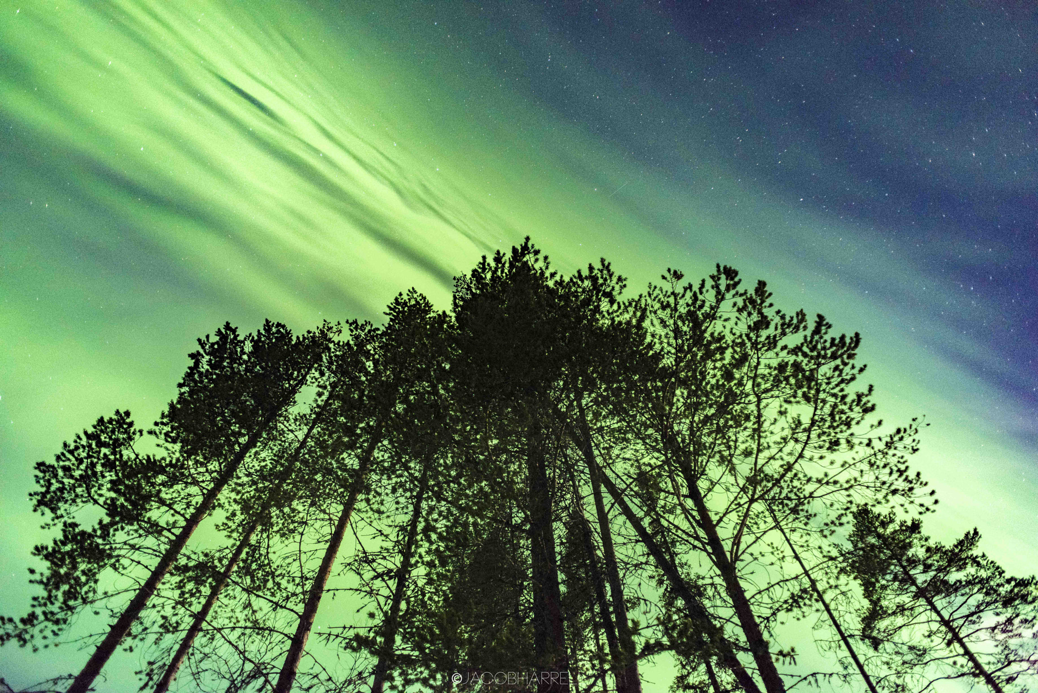 Nikon D810 + Nikon AF Nikkor 20mm F2.8D sample photo. A swedish aurora photography