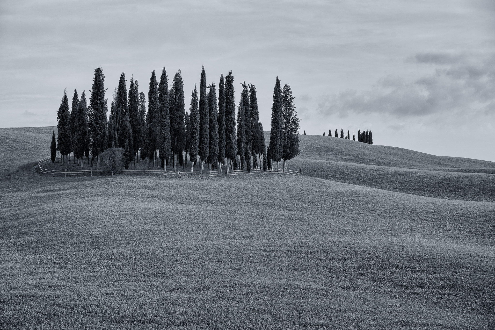 Sony a7R II + 70-200mm F2.8 sample photo. ...all in a row... photography
