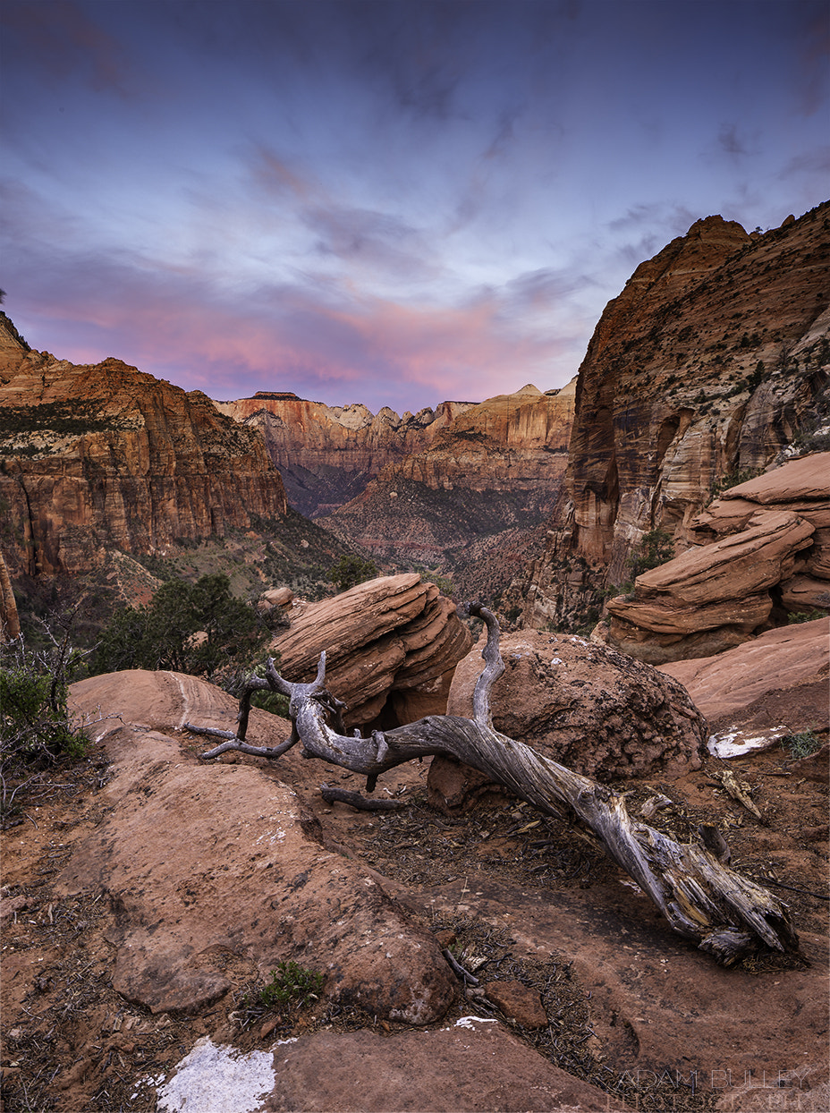 Canon TS-E 24.0mm f/3.5 L II sample photo. Canyon sunrise photography