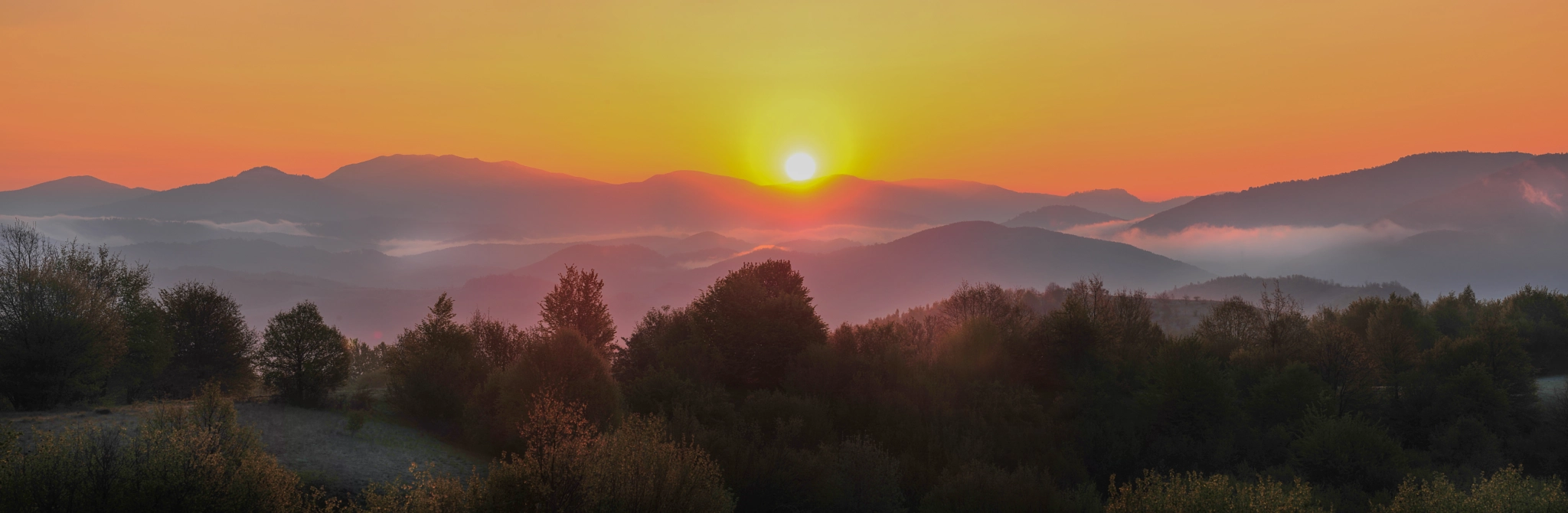 Nikon D3 sample photo. Welcome spring photography