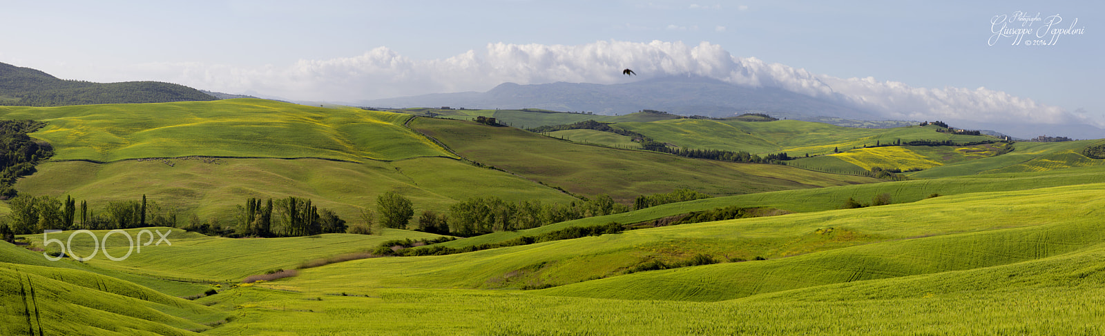 Sigma 17-70mm F2.8-4 DC Macro OS HSM sample photo. Tuscany photography