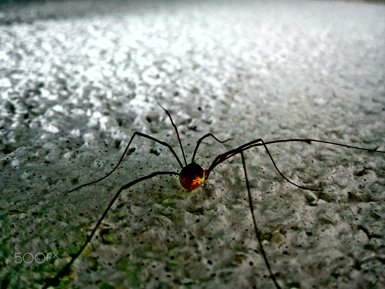 Sony Ericsson J10i2 sample photo. Exploring the wall photography