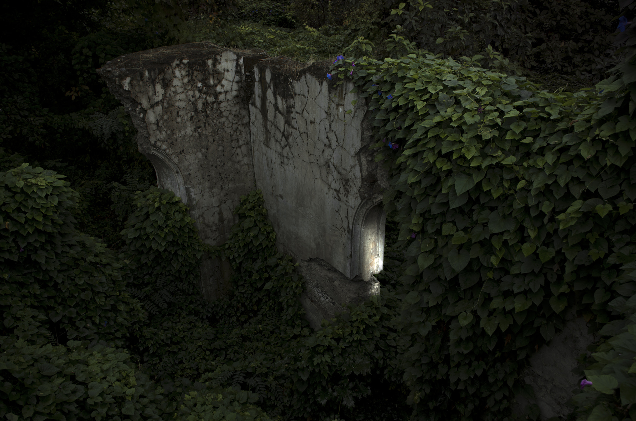 Pentax smc DA 18-55mm F3.5-5.6 AL WR sample photo. El jardín secreto photography