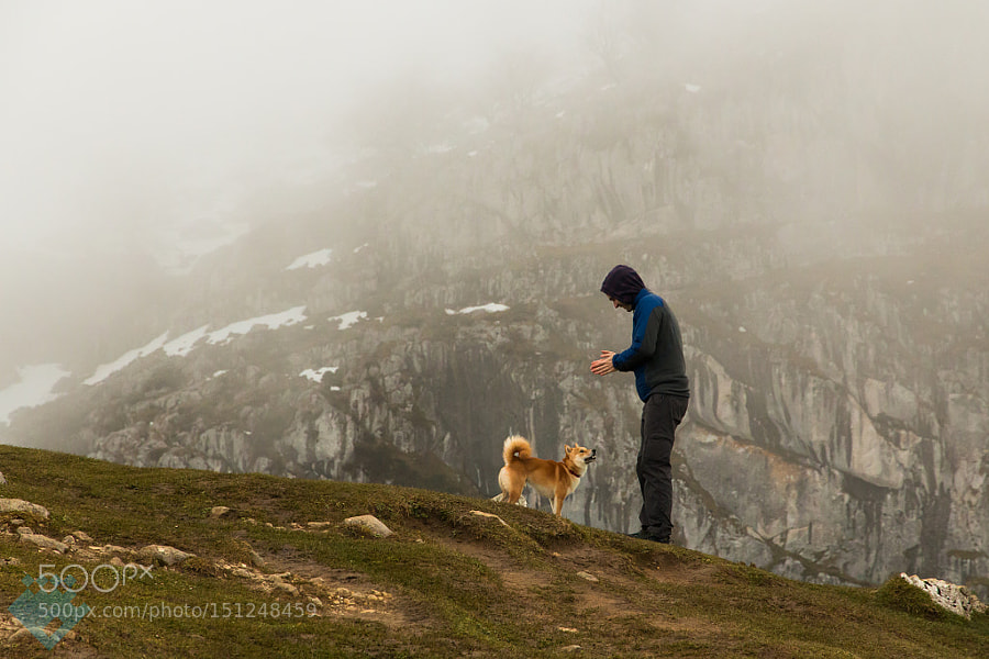 Companionship by Saeed Gholami Shahbandi on 500px
