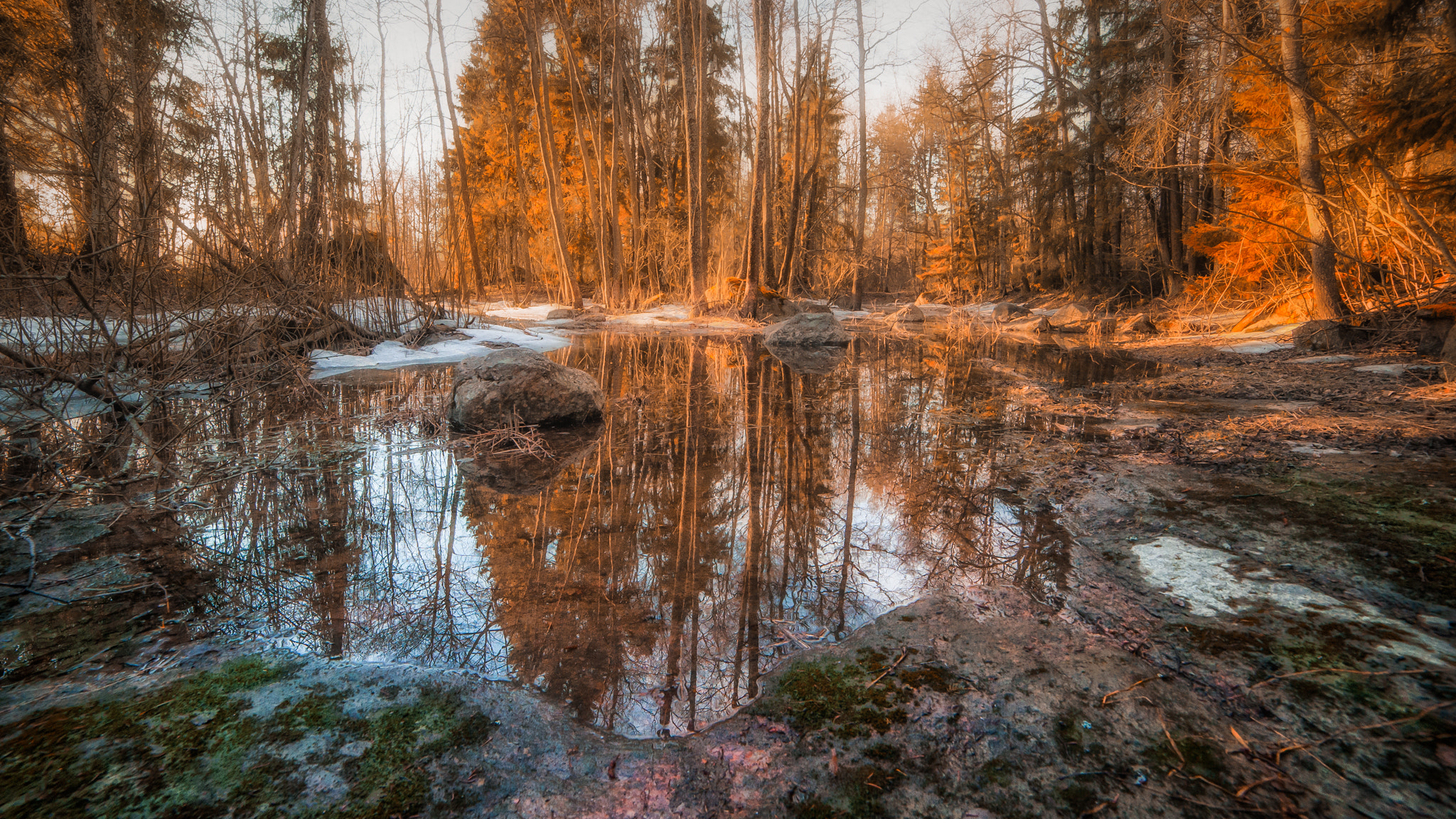 Nikon D3 sample photo. Reflections photography