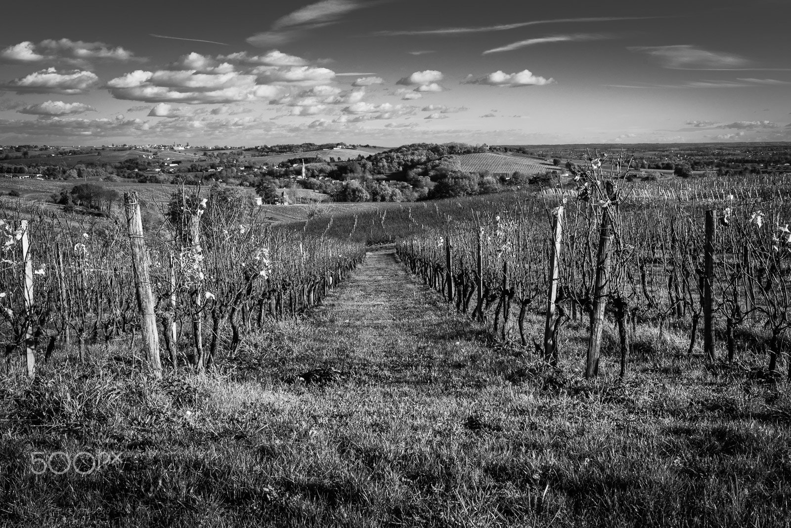 Nikon D610 + AF-S Nikkor 35mm f/1.8G sample photo. Sainte croix du mont les vignes photography