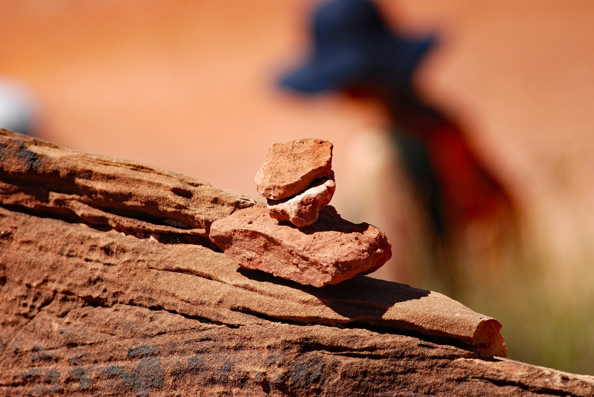 Nikon AF-Nikkor 80-200mm F2.8D ED sample photo. Stay on trail rock sign photography