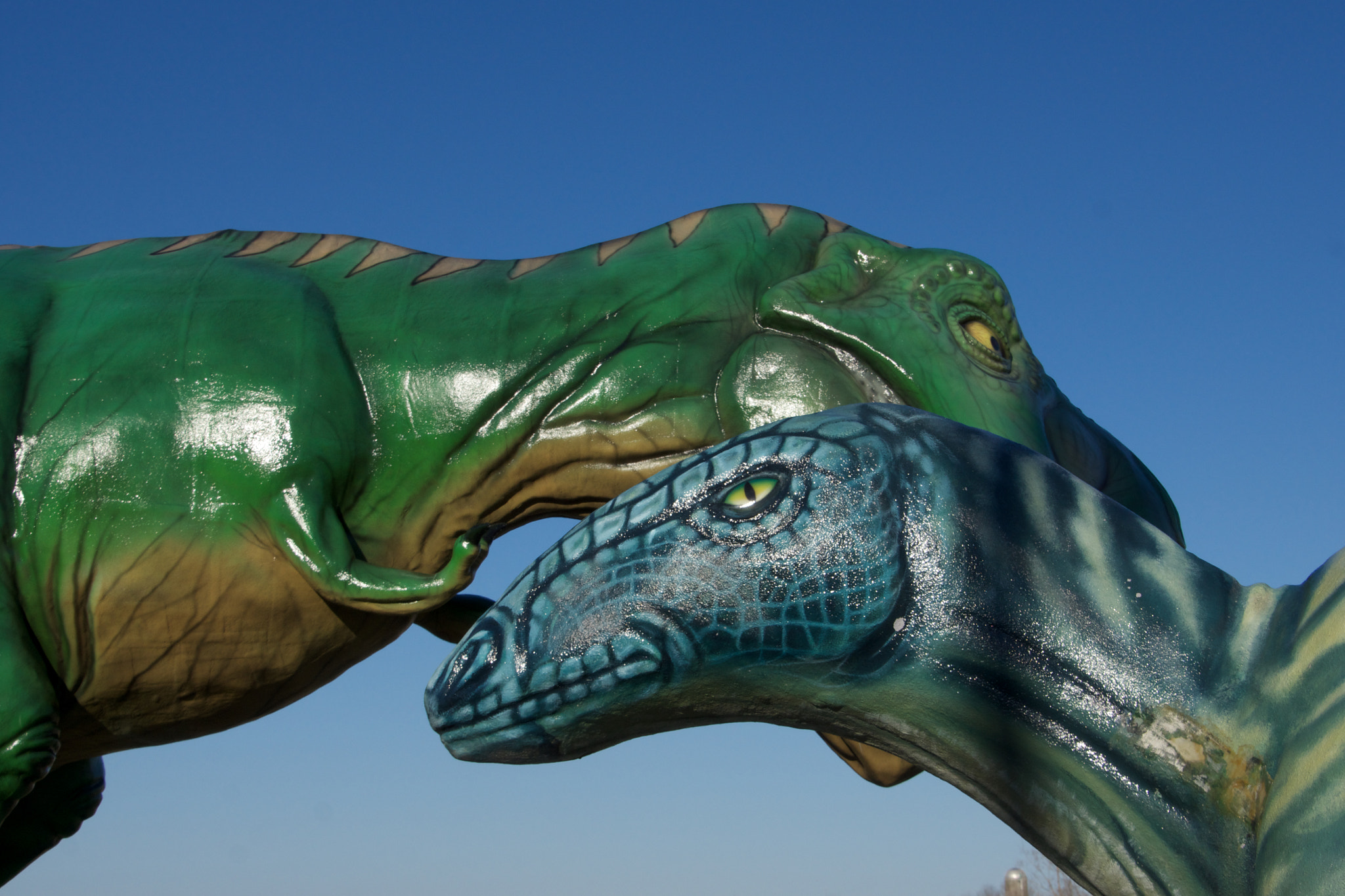 Tamron 18-270mm F3.5-6.3 Di II PZD sample photo. Dino 1 photography