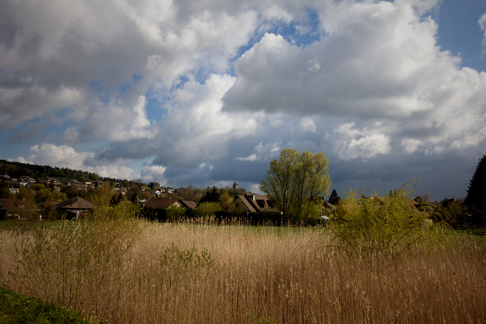 Sigma 12-24mm F4.5-5.6 II DG HSM sample photo. étang ville photography