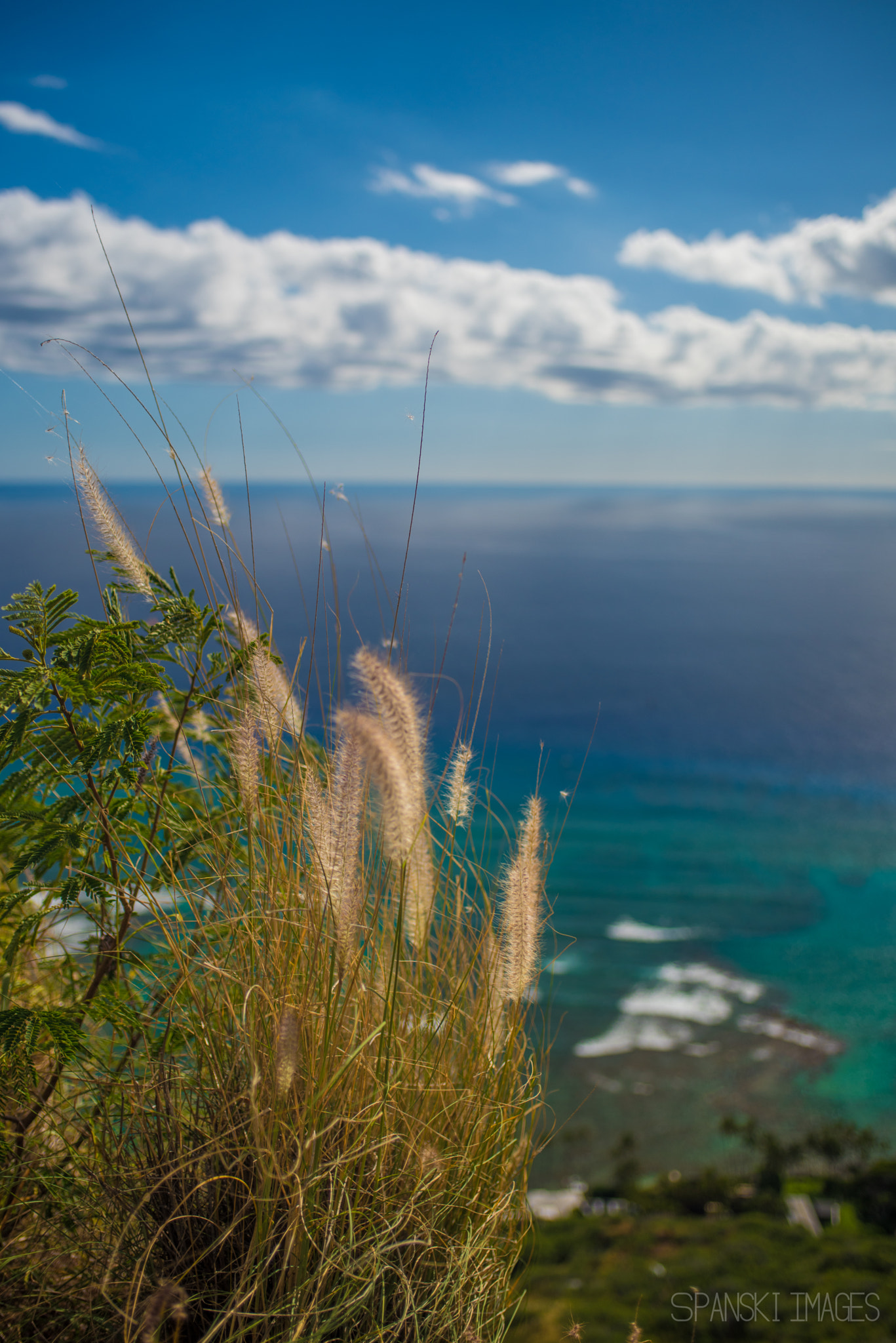 Nikon D810 + AF Zoom-Nikkor 35-70mm f/2.8D sample photo. Hawaii_diamond.jpg photography
