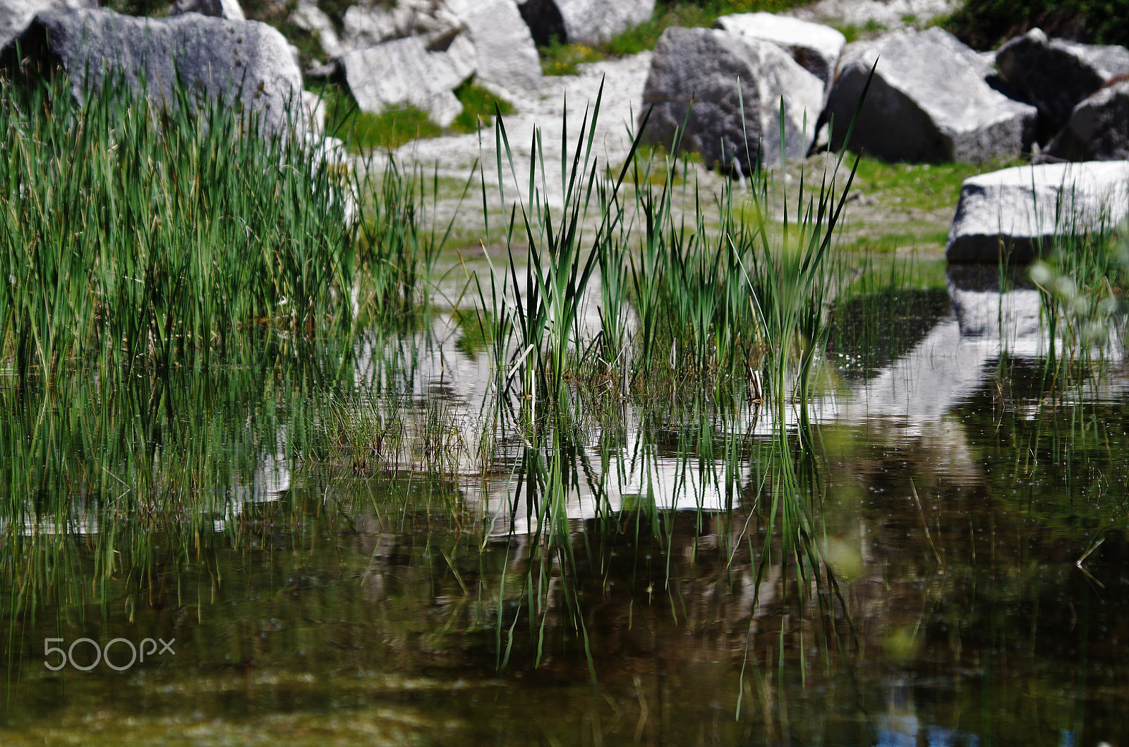 HD Pentax DA 55-300mm F4.0-5.8 ED WR sample photo. Together photography