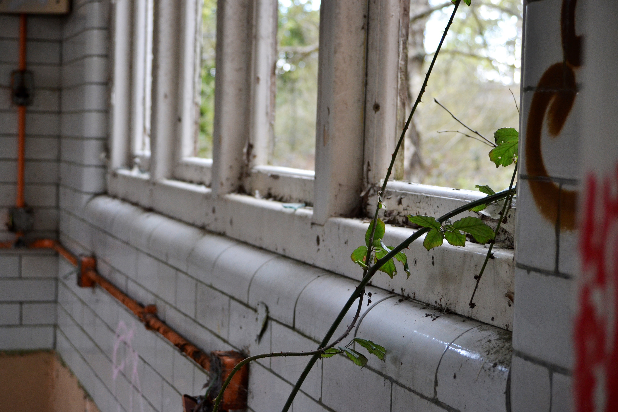 Nikon D3100 + Sigma 18-50mm F3.5-5.6 DC sample photo. Window photography