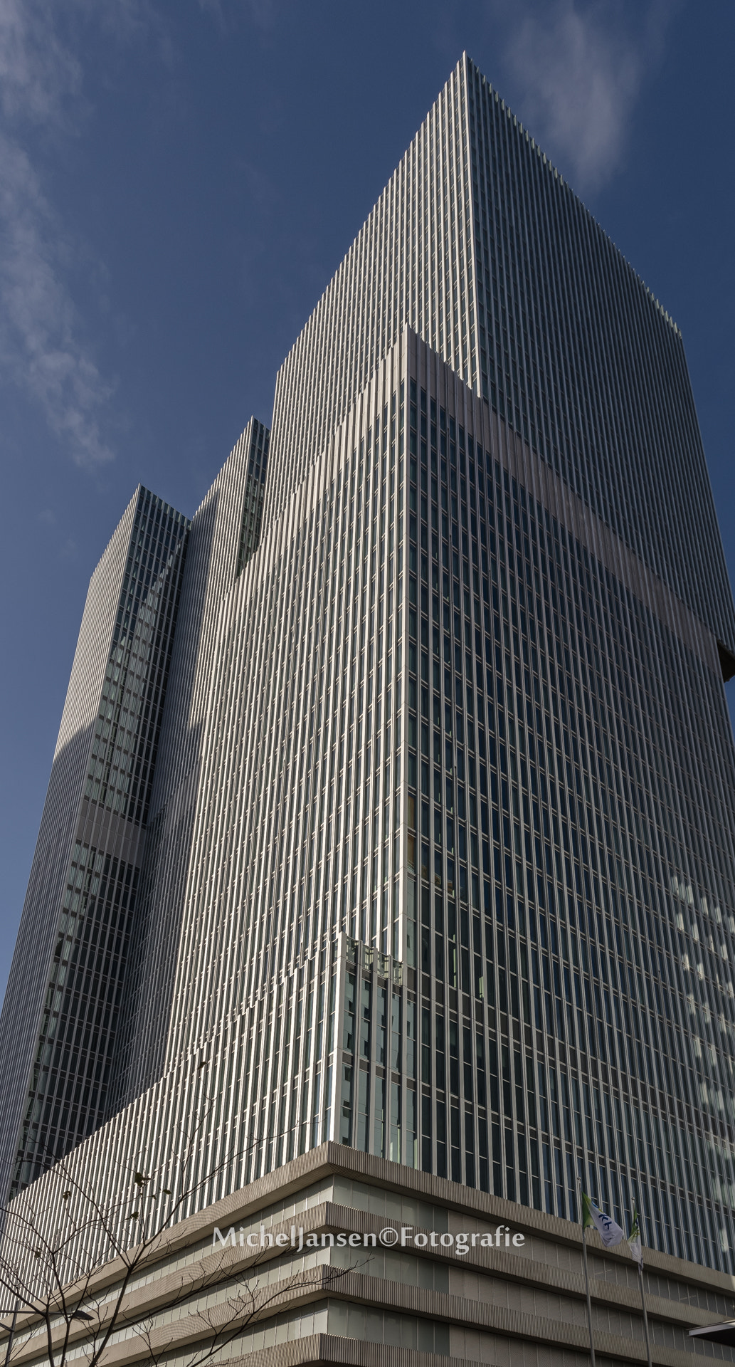 Sigma 17-70mm F2.8-4 DC Macro OS HSM | C sample photo. De rotterdam photography