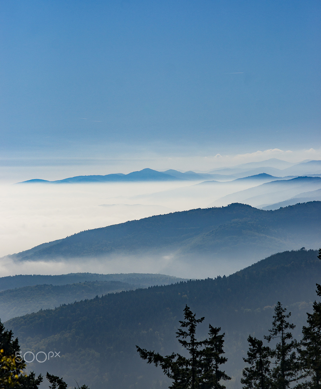 Sony Planar T* 85mm F1.4 ZA sample photo. French hills photography