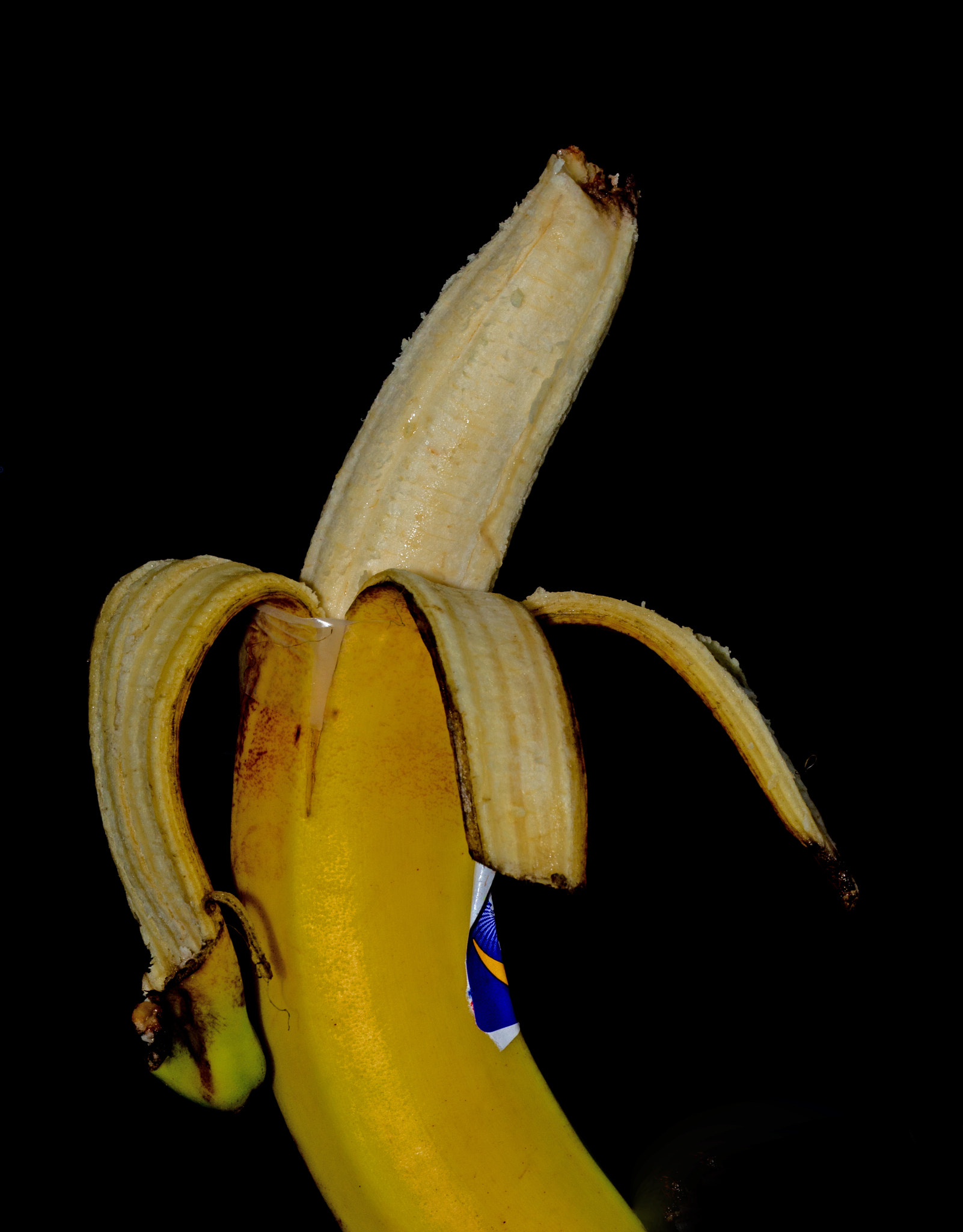 Sigma 105mm F2.8 EX DG OS HSM sample photo. 3607.jpg photography