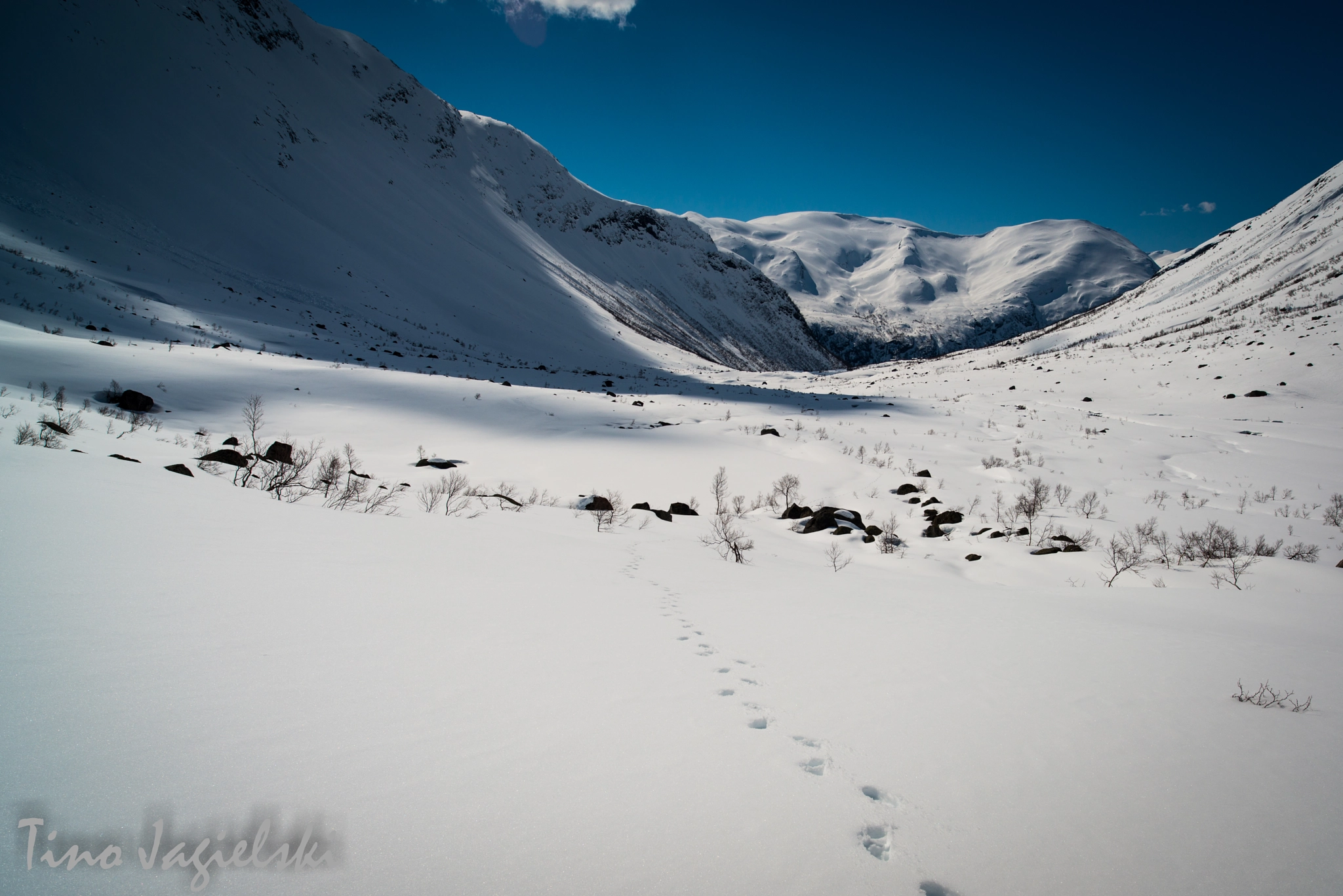 Nikon D800 + ZEISS Distagon T* 21mm F2.8 sample photo. Norway 2.0 (8) photography